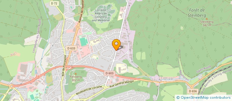 localisation de l'entreprise MON REVE  SAINT-AVOLD