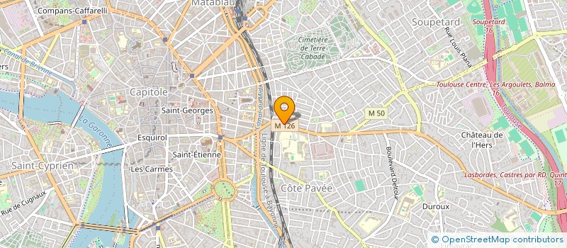 localisation de l'entreprise MONEREAU CONSEILS  TOULOUSE