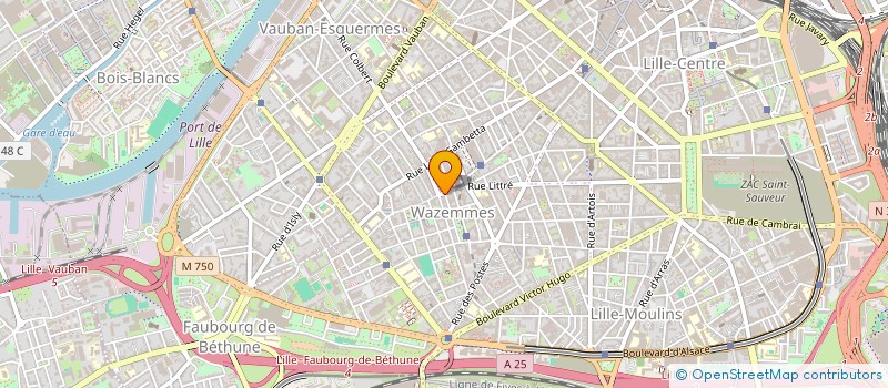 localisation de l'entreprise MONMOB à LILLE