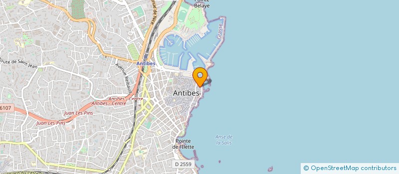 localisation de l'entreprise MONSIEUR AARON VINCENT à ANTIBES