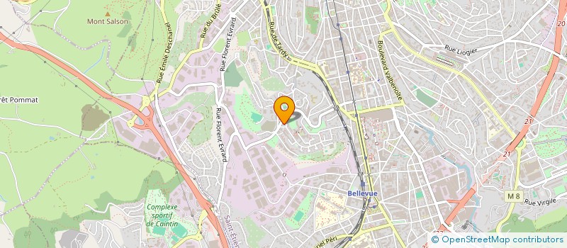 localisation de l'entreprise MONSIEUR ABDALLAH CHERFI  SAINT-ETIENNE