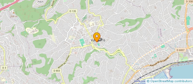 localisation de l'entreprise MONSIEUR ABDALLAH RAHMOUNI  VALLAURIS