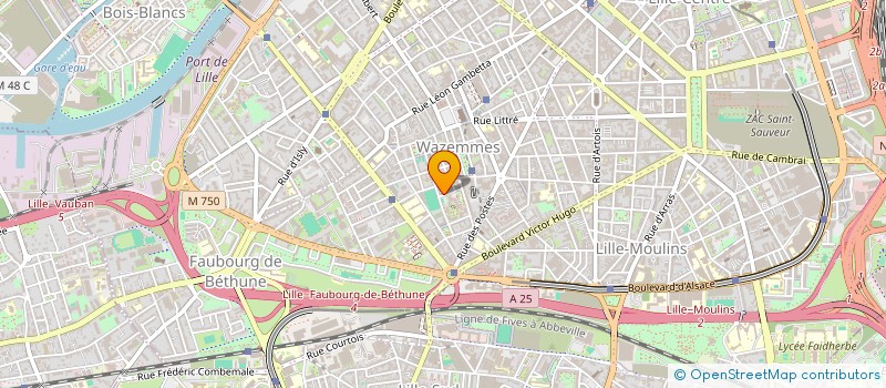 localisation de l'entreprise MONSIEUR ABDELALI BOUJOUALA à LILLE