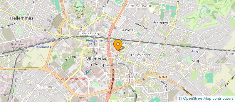 localisation de l'entreprise MONSIEUR ABDELAZIZ RAJIM à VILLENEUVE-D'ASCQ