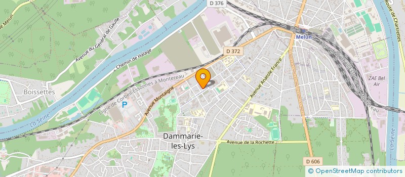 localisation de l'entreprise MONSIEUR ABDELAZIZ ZIANE à DAMMARIE-LES-LYS