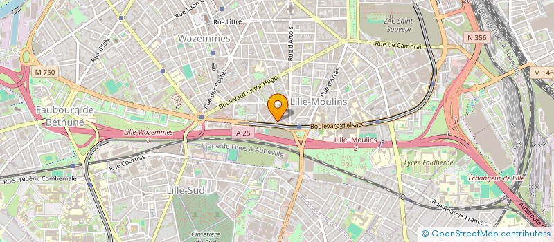 localisation de l'entreprise MONSIEUR ABDELGHANI IDRISSOU à LILLE