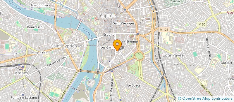 localisation de l'entreprise MONSIEUR ABDELHAK SEMIANI  TOULOUSE