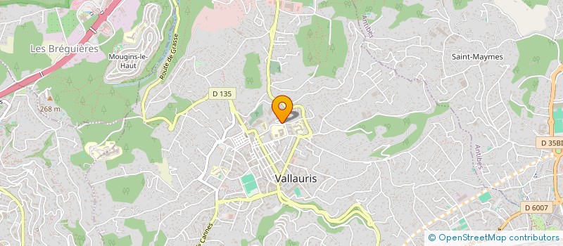 localisation de l'entreprise MONSIEUR ABDELHAMEID GHOULAM  VALLAURIS