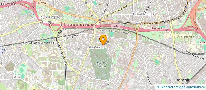 localisation de l'entreprise MONSIEUR ABDELILAH AMSAKOUM  LILLE