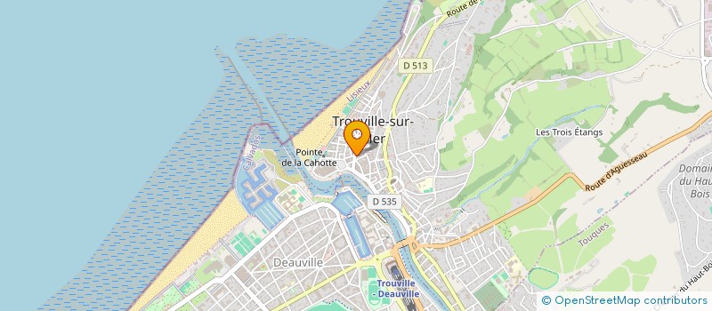 localisation de l'entreprise MONSIEUR ABDELKADER BENCHENANE à TROUVILLE-SUR-MER