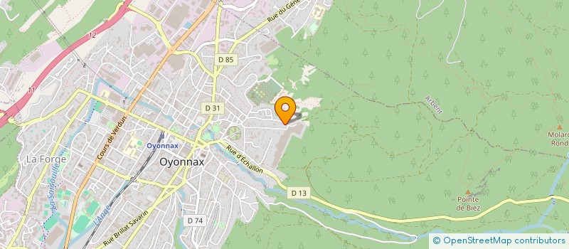localisation de l'entreprise MONSIEUR ABDELKADER GUESSOUM à OYONNAX