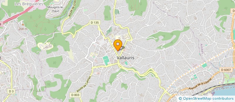 localisation de l'entreprise MONSIEUR ABDELMAGIDE KECHAR à VALLAURIS