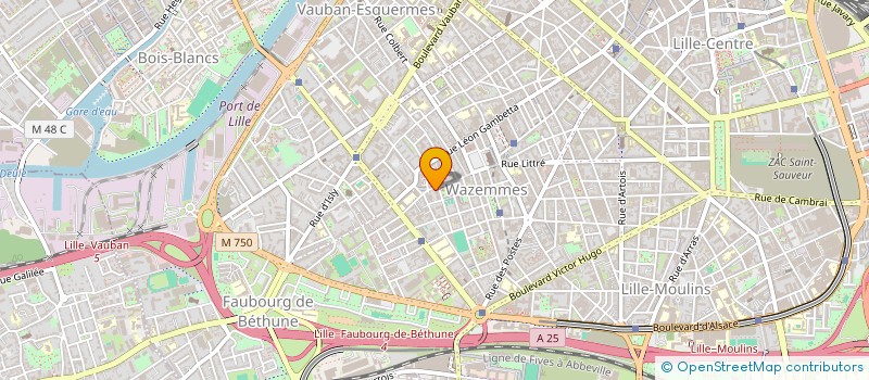 localisation de l'entreprise MONSIEUR ABDELMAJID BORBIA  LILLE