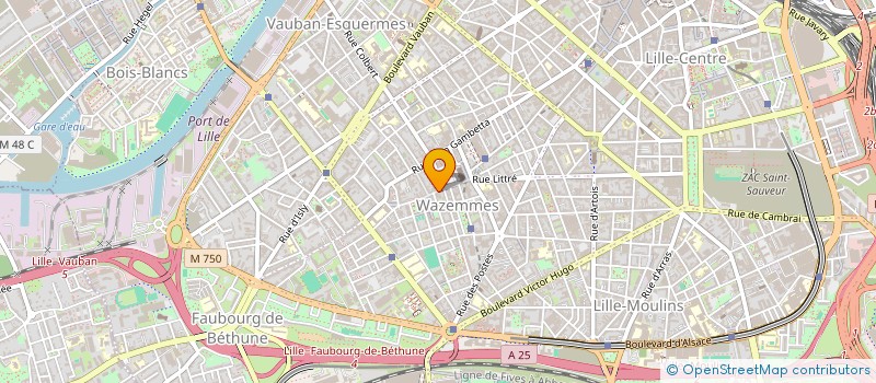 localisation de l'entreprise MONSIEUR ABDELMAJID BOUTELJA à LILLE