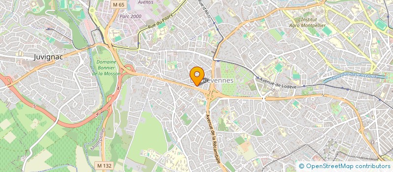 localisation de l'entreprise MONSIEUR ABDELMAJID OUHAGA à MONTPELLIER