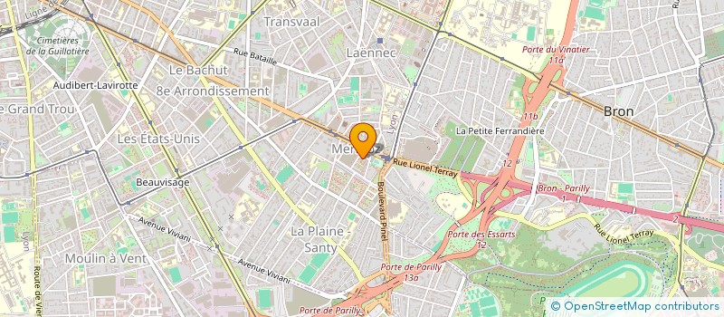 localisation de l'entreprise MONSIEUR ABDELMOUNIM AMERNIS  LYON