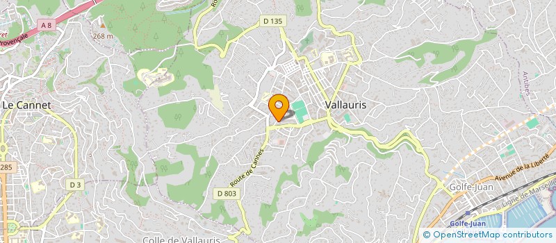 localisation de l'entreprise MONSIEUR ABDERRAZAK CHERIF à VALLAURIS