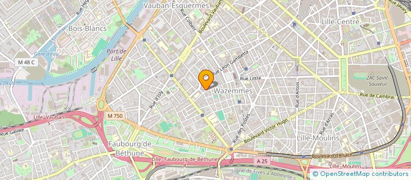 localisation de l'entreprise MONSIEUR ABDESSELAM AIS à LILLE