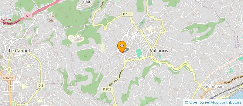 localisation de l'entreprise MONSIEUR ABDHALLAH LOUASSI  VALLAURIS