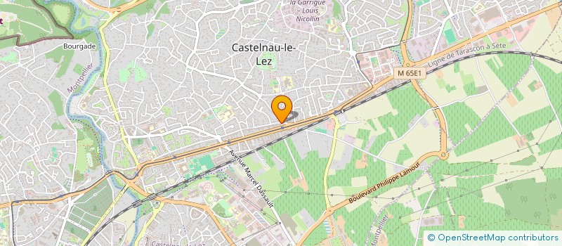 localisation de l'entreprise MONSIEUR ABDOLRASOUL BAGHERTASH à CASTELNAU-LE-LEZ
