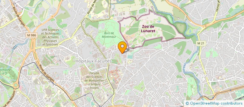 localisation de l'entreprise MONSIEUR ABDOUL WAHAB à MONTPELLIER