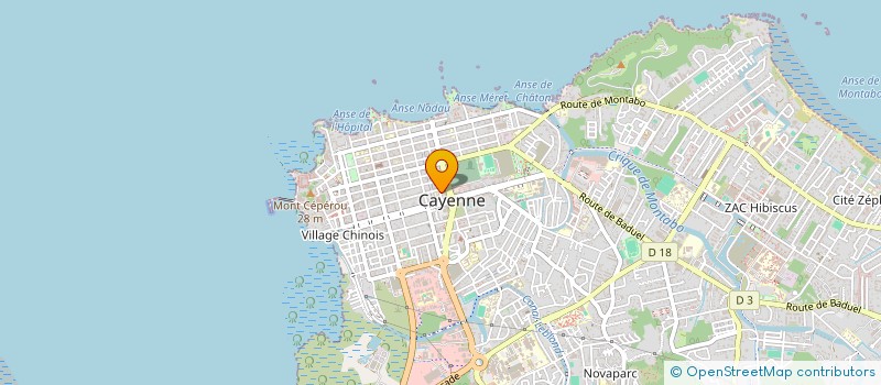 localisation de l'entreprise MONSIEUR ABDOULMALIKI RAMIA à CAYENNE