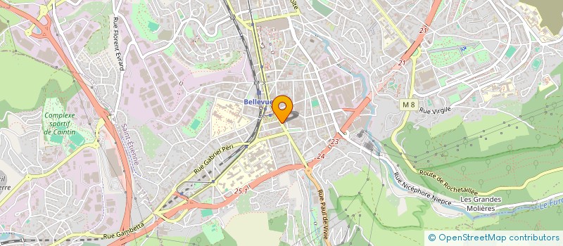 localisation de l'entreprise MONSIEUR ABDULBASIT WALI  SAINT-ETIENNE