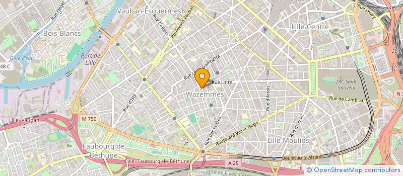 localisation de l'entreprise MONSIEUR ABDUQADIM OMARI à LILLE