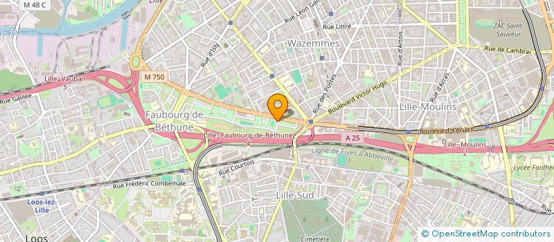 localisation de l'entreprise MONSIEUR ABDUR SHINWARI à LILLE