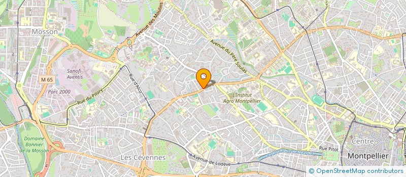 localisation de l'entreprise MONSIEUR ABED BENFEDILA à MONTPELLIER