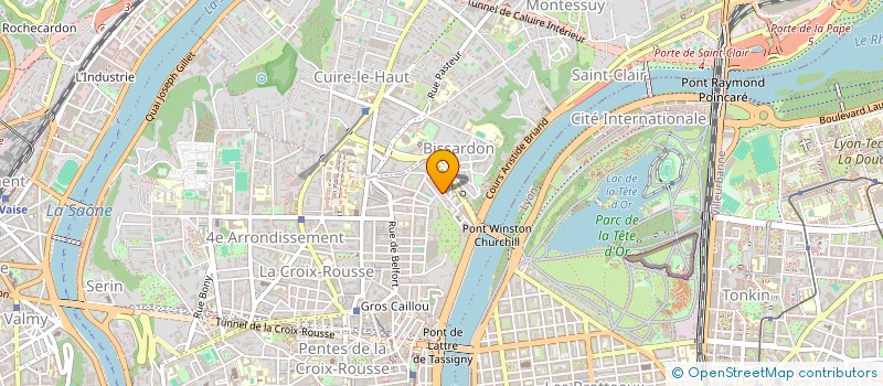 localisation de l'entreprise MONSIEUR ABEL EHIBHATIOMHAN  LYON