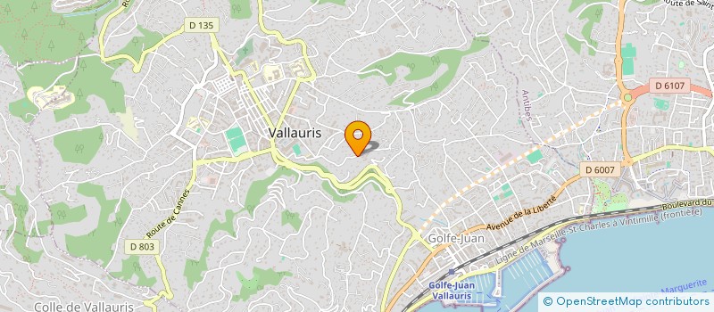 localisation de l'entreprise MONSIEUR ABEL HUNTER  VALLAURIS