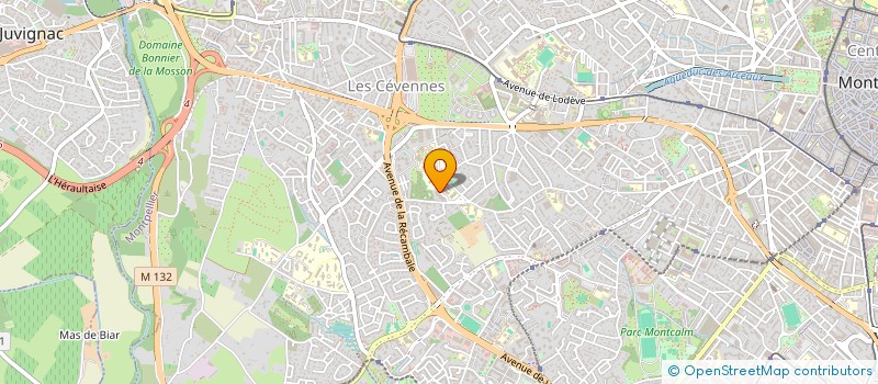 localisation de l'entreprise MONSIEUR ABOUBACAR MOINDJIE à MONTPELLIER