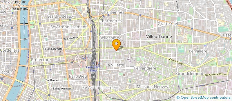 localisation de l'entreprise MONSIEUR ABRAHAM SAYEGH  LYON