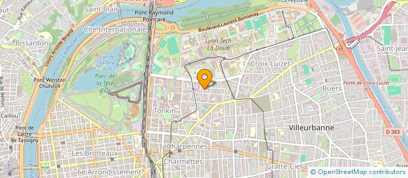 localisation de l'entreprise MONSIEUR ACHI NASSA  VILLEURBANNE