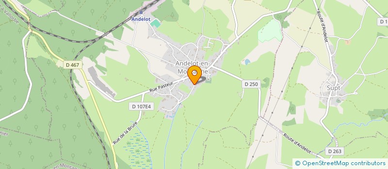 localisation de l'entreprise MONSIEUR ACHILLE DELATTRE  ANDELOT-EN-MONTAGNE