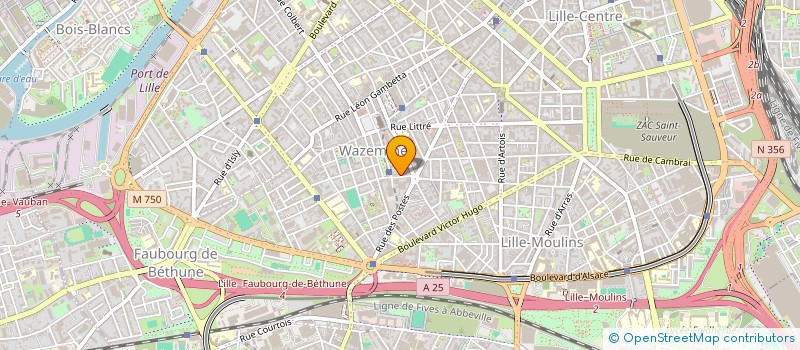 localisation de l'entreprise MONSIEUR ACHRAF REITAB  LILLE