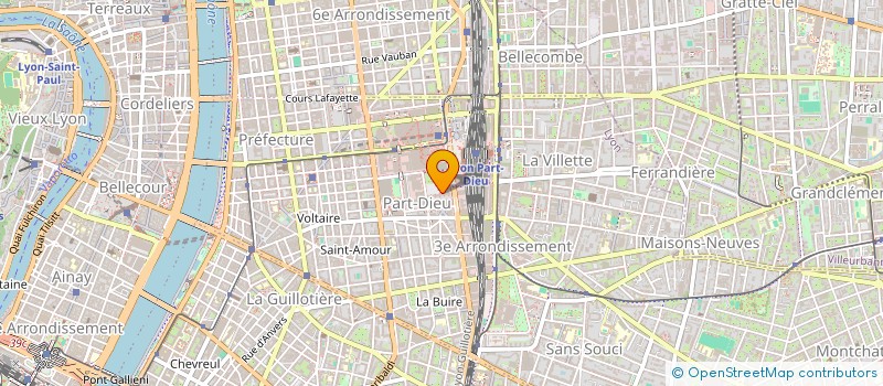 localisation de l'entreprise MONSIEUR ADAM DENIS  LYON