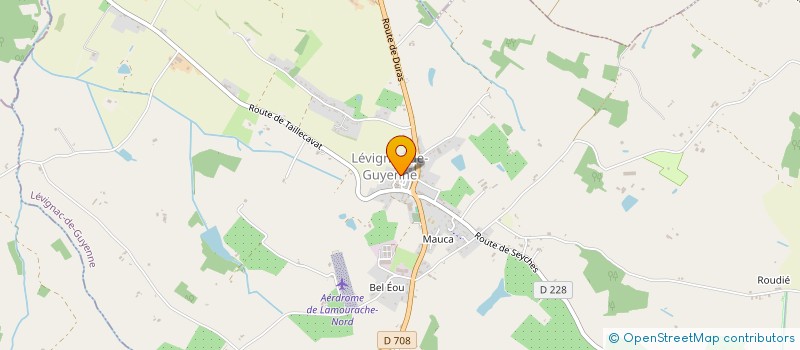 localisation de l'entreprise MONSIEUR ADAM ELLIS  LEVIGNAC-DE-GUYENNE