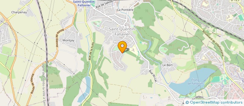 localisation de l'entreprise MONSIEUR ADAM KAMZALI  SAINT-QUENTIN-FALLAVIER