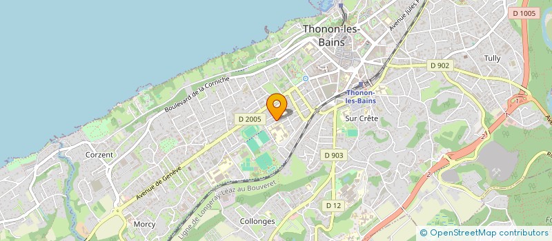 localisation de l'entreprise MONSIEUR ADAM LARIBI à THONON-LES-BAINS