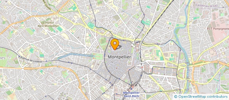 localisation de l'entreprise MONSIEUR ADAM LEMEILLE  MONTPELLIER