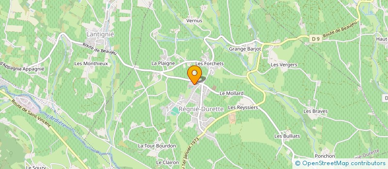 localisation de l'entreprise MONSIEUR ADAM MALICK DIATTA  REGNIE-DURETTE