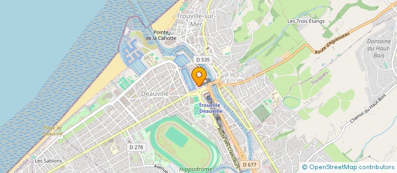 localisation de l'entreprise MONSIEUR ADAM PIRMAMOD  DEAUVILLE