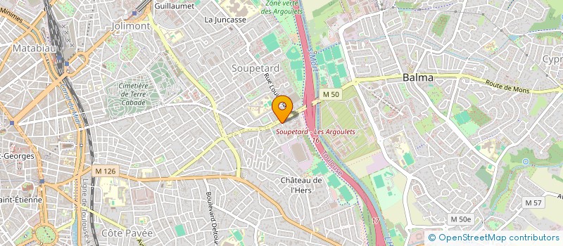 localisation de l'entreprise MONSIEUR ADAM QSIYER  TOULOUSE