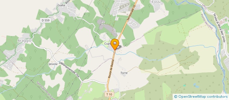 localisation de l'entreprise MONSIEUR ADAM RIAHI  SAN-GAVINO-DI-CARBINI