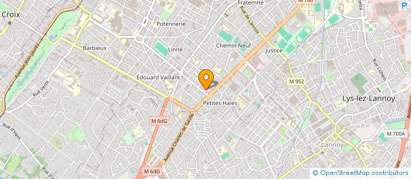 localisation de l'entreprise MONSIEUR ADAM ROMAN  ROUBAIX