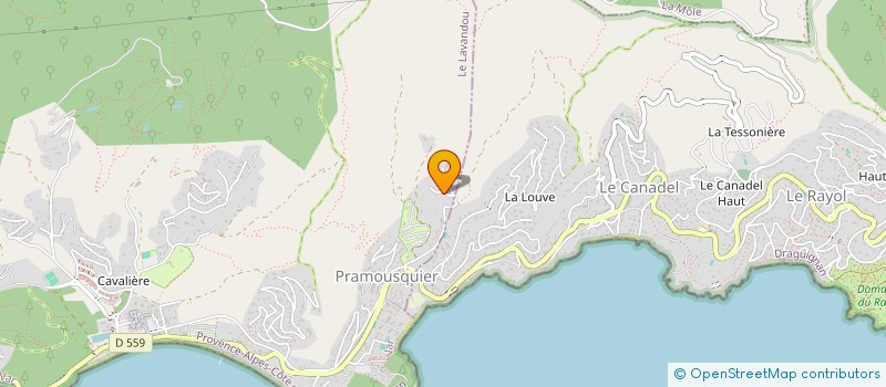 localisation de l'entreprise MONSIEUR ADAM ROSTOM à LE LAVANDOU