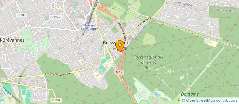 localisation de l'entreprise MONSIEUR ADAMA DIT DAMA DIAWARA à BOISSY-SAINT-LEGER