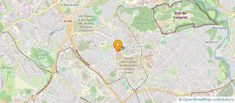 localisation de l'entreprise MONSIEUR ADAMOU TCHILA à MONTPELLIER